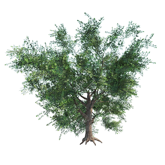  Majestic English Oak: Perfect for Landscaping! 3D model image 1