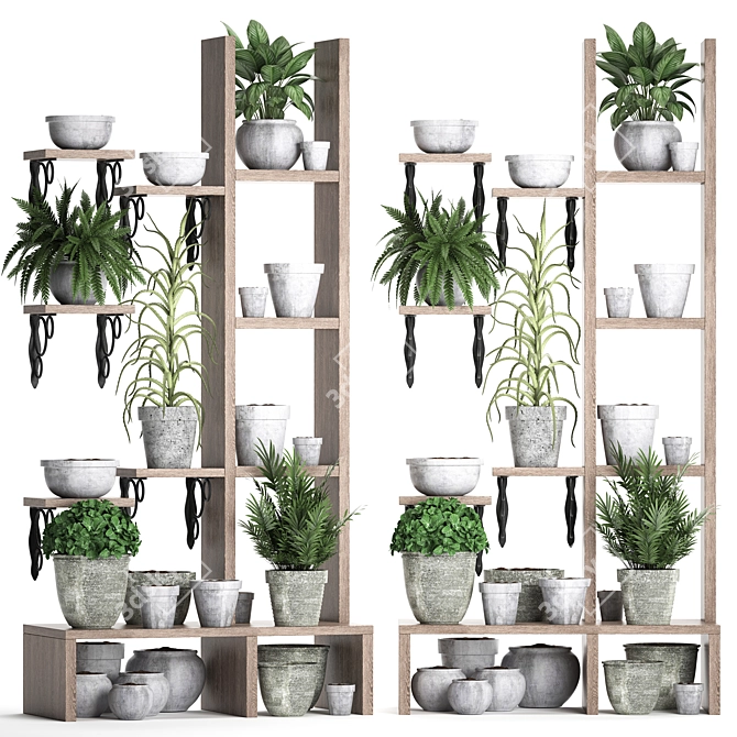 Title: Exotic Indoor Plant Collection 3D model image 1