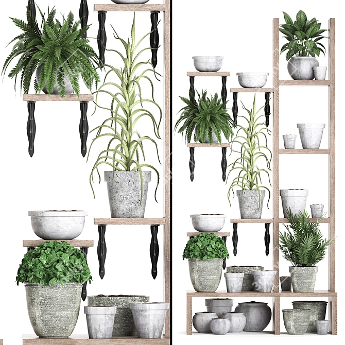 Title: Exotic Indoor Plant Collection 3D model image 2