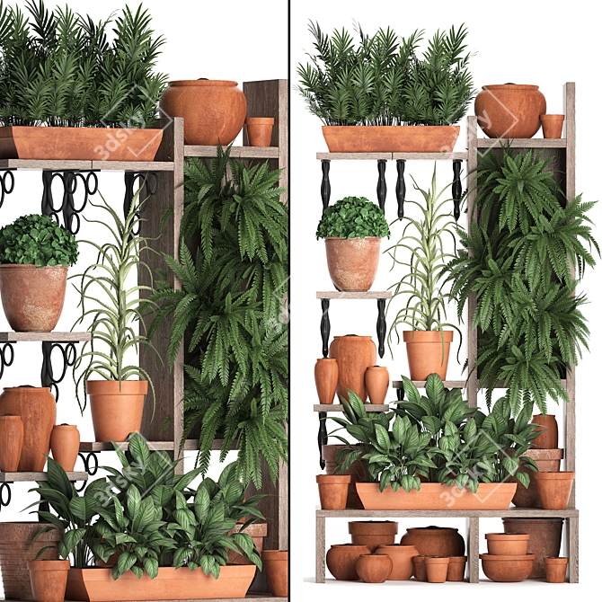 Exotic Houseplants Collection 3D model image 1