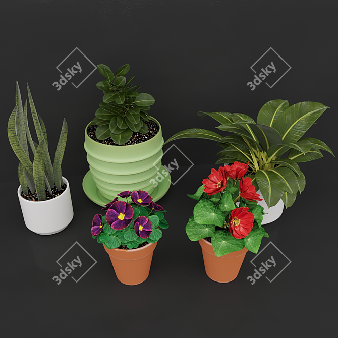 Vibrant Blooms Collection 3D model image 2