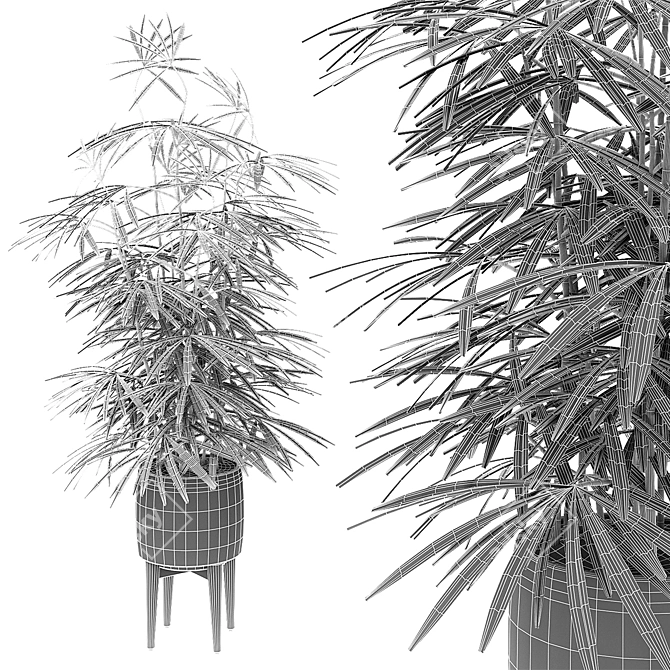 Exotic Plant in Pot 3D model image 3