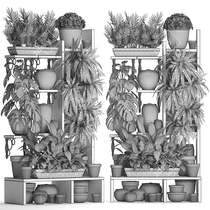 Exotic Plant Collection: Houseplants, Areca Palm, Monstera 3D model image 3