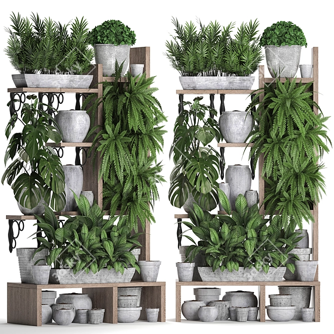 Tropical Plant Assortment - 5 Exotic Houseplants 3D model image 1