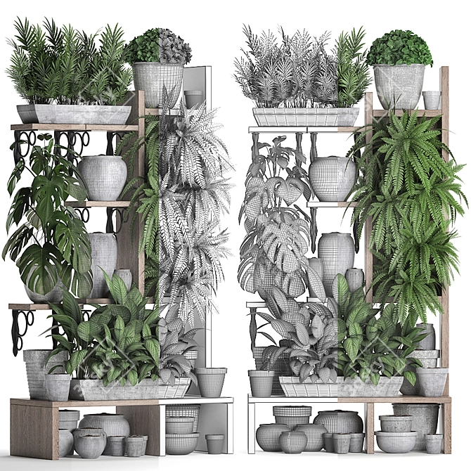 Tropical Plant Assortment - 5 Exotic Houseplants 3D model image 3