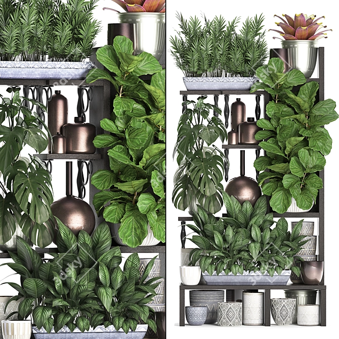 Exotic Houseplant Collection 3D model image 1