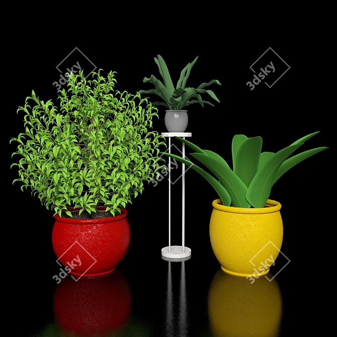 Flora-Fest: Exquisite Plants Collection 3D model image 1