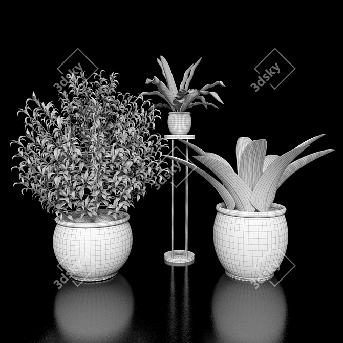 Flora-Fest: Exquisite Plants Collection 3D model image 2