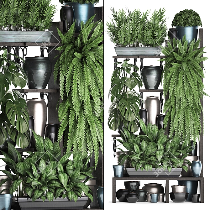 Exotic Plant Collection: Houseplants & Monstera 3D model image 1