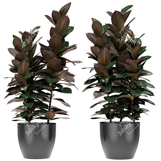 Exotic Palm Plant in Decorative Flowerpot 3D model image 1