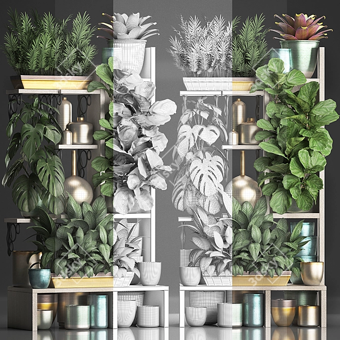 Title: Exotic Plant Collection: Houseplants, Palms, Monstera, Bromelia 3D model image 3