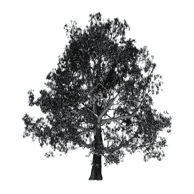 Vivid Broadleaf Tree: Realistic & Detailed 3D model image 3