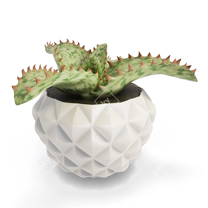 Lush Interior Aloe Plant Pot 3D model image 1