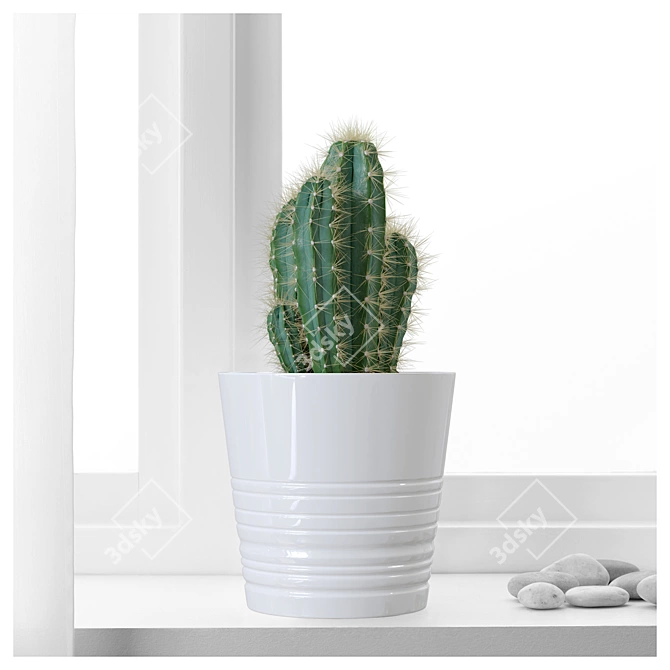 Spike Succulent: Low-maintenance Cactus 3D model image 2