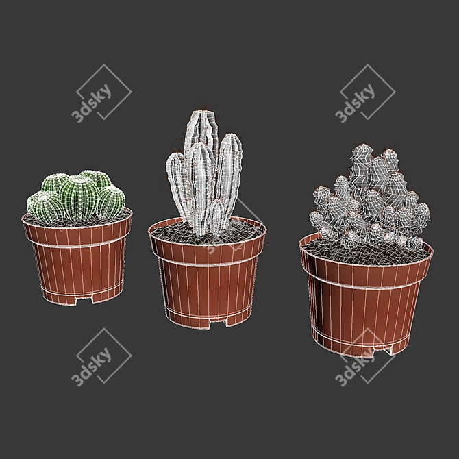 Spike Succulent: Low-maintenance Cactus 3D model image 3