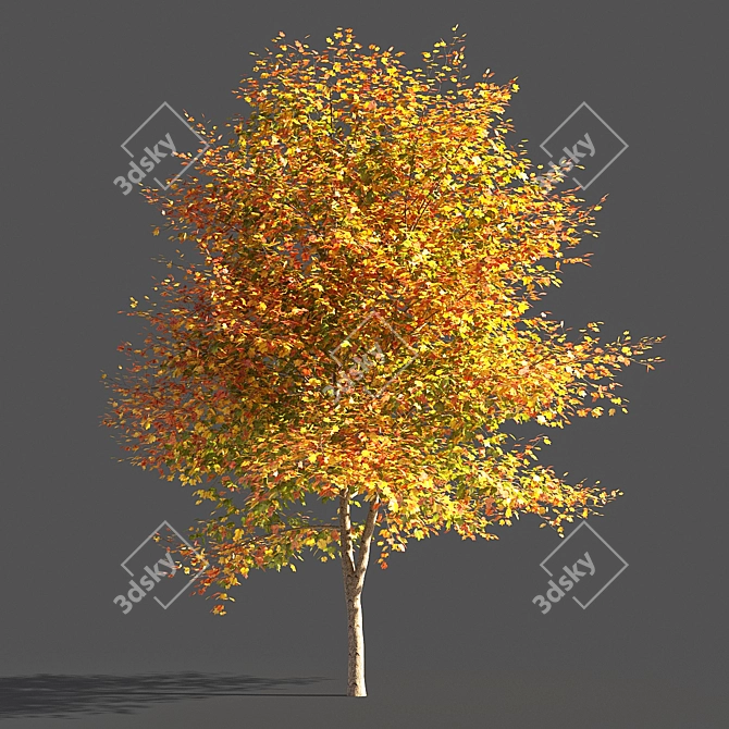 Elegant Tulip Tree Sculpture 3D model image 1