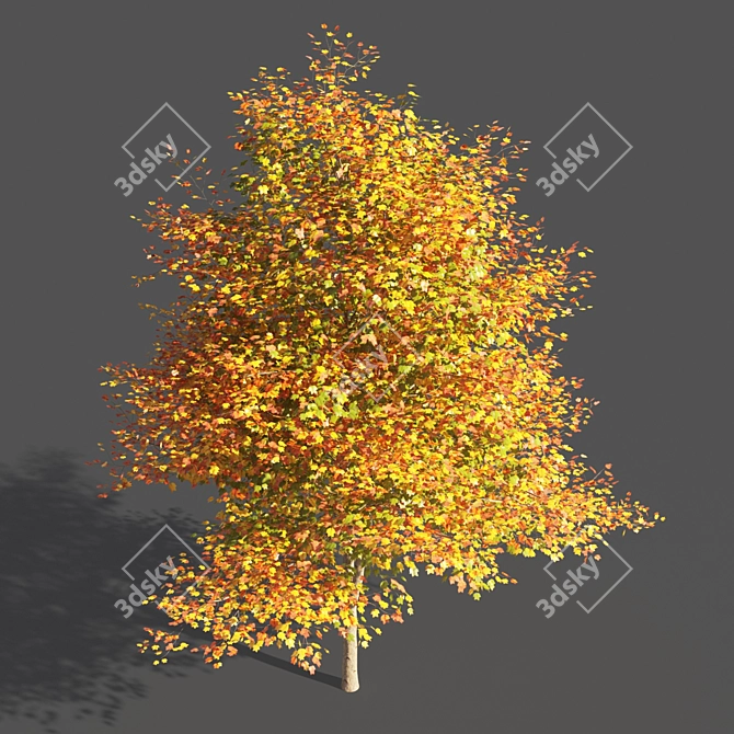 Elegant Tulip Tree Sculpture 3D model image 2