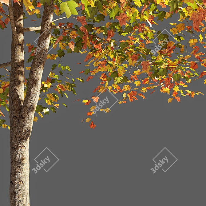 Elegant Tulip Tree Sculpture 3D model image 3