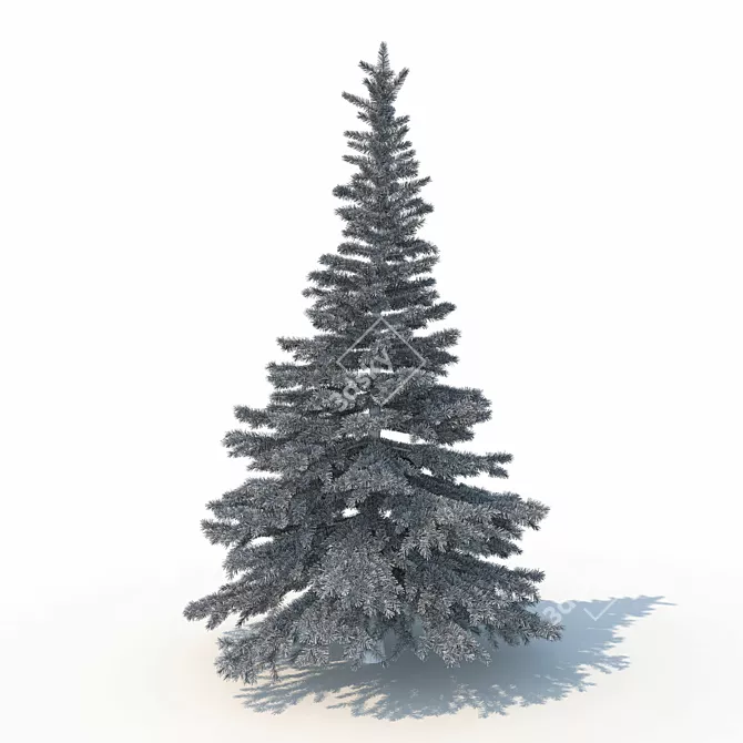 Spruce Tree 3D Model: Highly Detailed, Realistic 3D model image 4