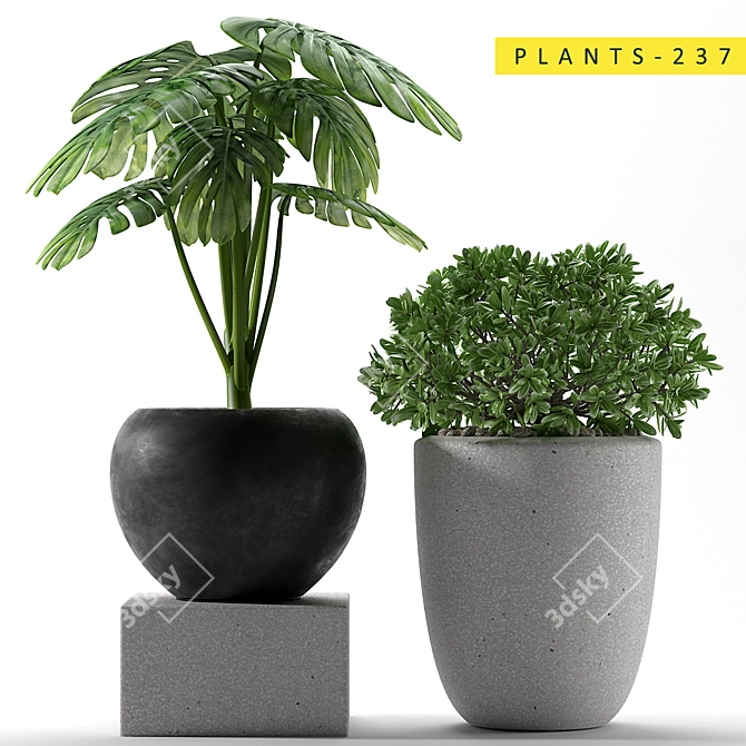 Tropical Greenery: 237 Varieties 3D model image 1