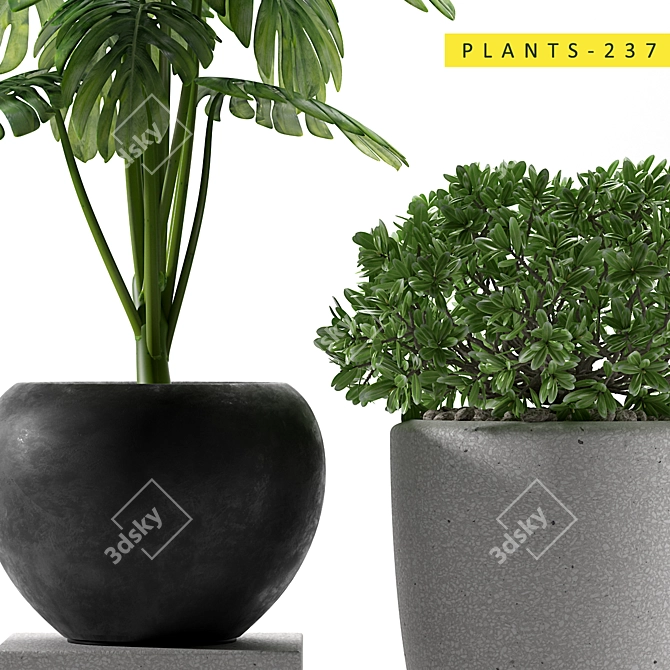 Tropical Greenery: 237 Varieties 3D model image 2