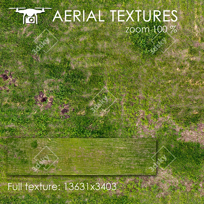 Aerial Grass Texture 3D model image 1