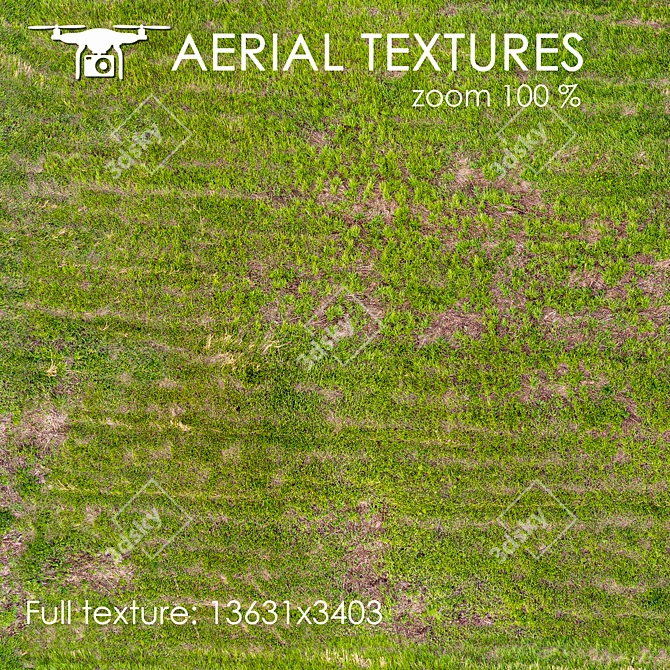 Aerial Grass Texture 3D model image 2