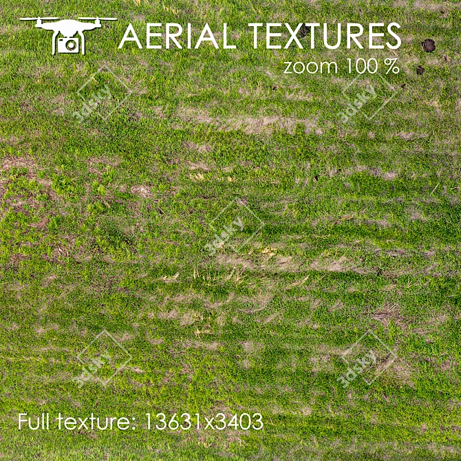 Aerial Grass Texture 3D model image 3