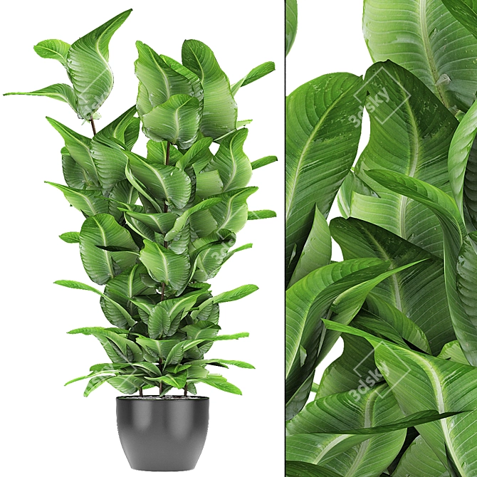 Exotic Plant in Pot: Tropical Vibes 3D model image 1