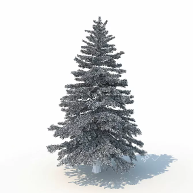 Realistic Spruce Tree 3D Model 3D model image 4