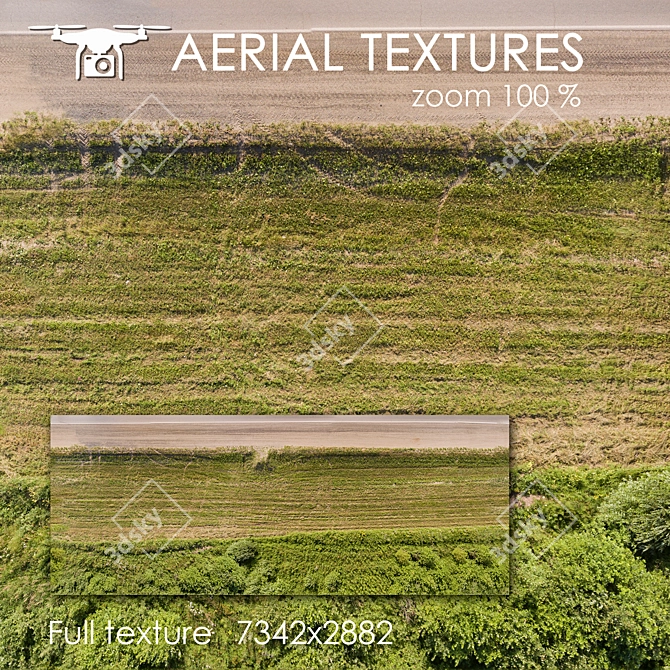 Drone-Captured Field Texture 3D model image 1