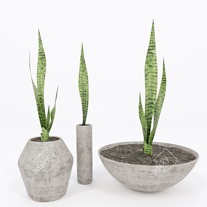 Title: Concrete Pot Green Sansevieria 3D model image 1