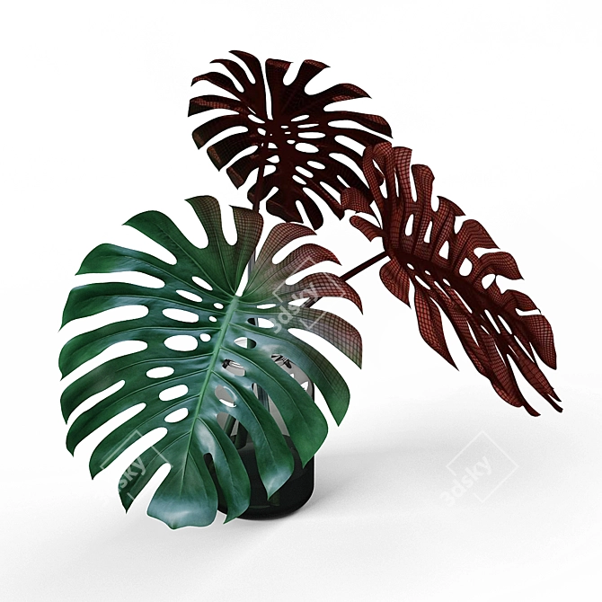 Monstera Vase: Modern Design Planter 3D model image 3