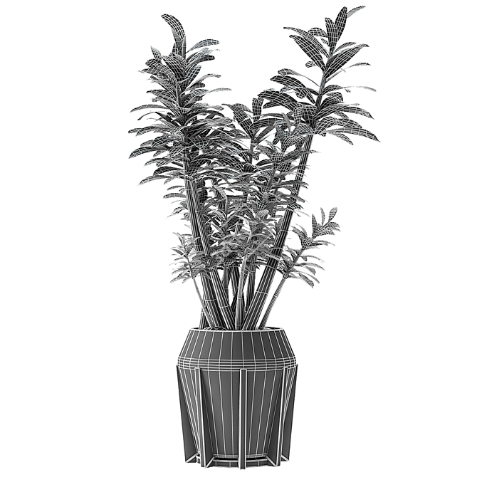 Title: Exotic Palm Tree Plant in Stylish Flowerpot 3D model image 3