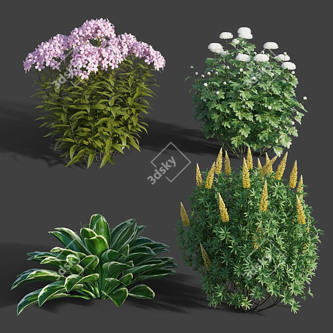 Colorful Garden Plant Set 3D model image 1