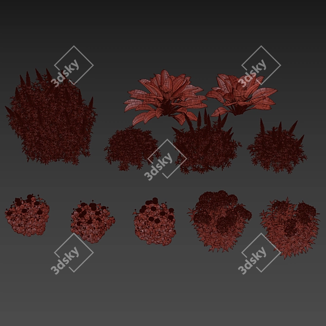 Colorful Garden Plant Set 3D model image 3