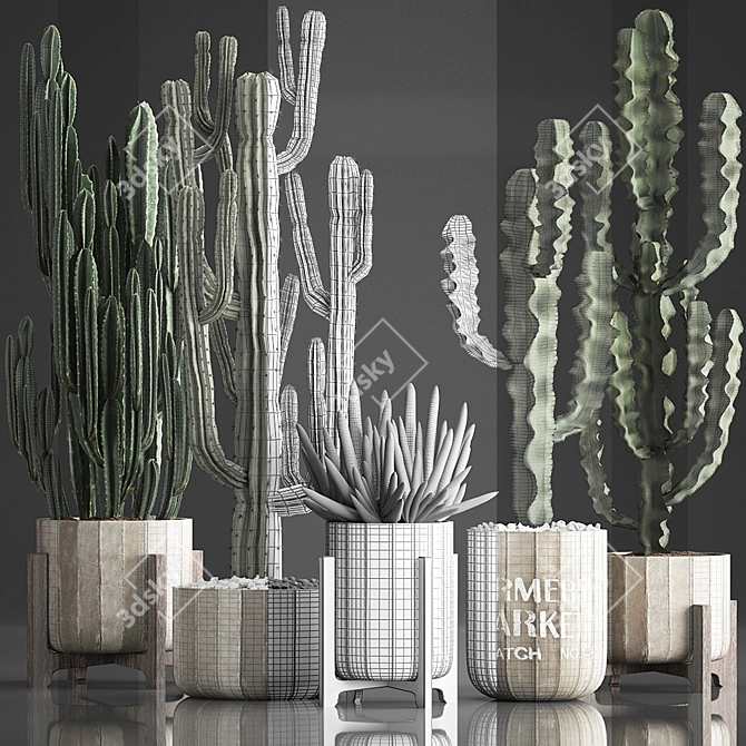 Exotic Indoor Plant Collection 3D model image 3