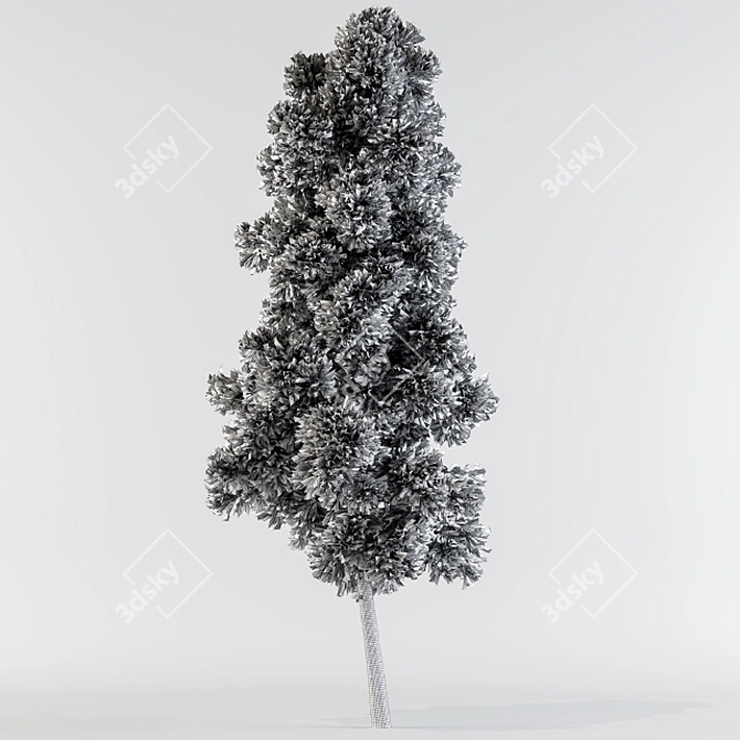 Evergreen Pine Tree Collection 3D model image 2