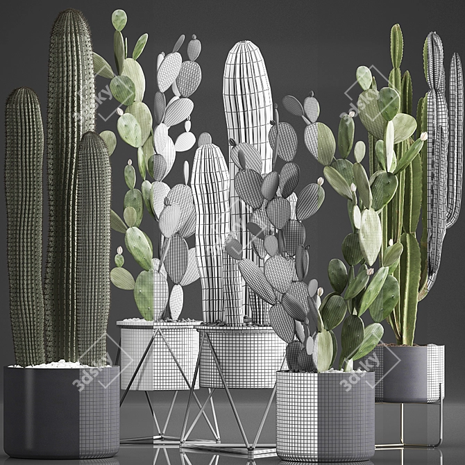 Exotic Cactus Collection: 376 Varieties 3D model image 3