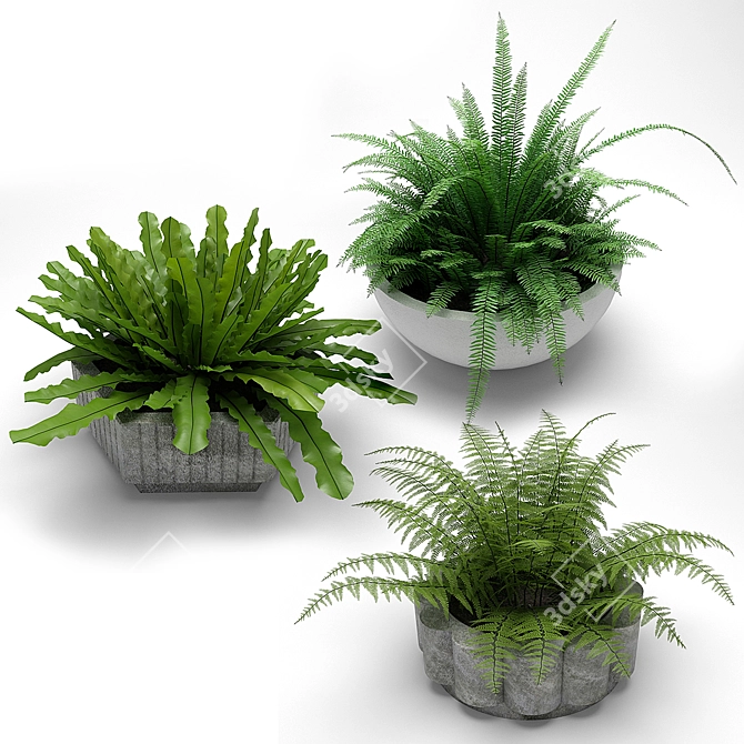 Title: Lush Landscape: Plants in Pots 3D model image 2