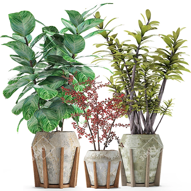 Exotic Leafy Beauties 3D model image 1