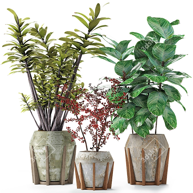 Exotic Leafy Beauties 3D model image 2