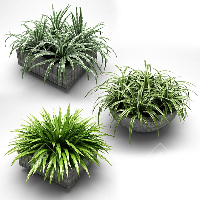 Greening your space: Plants in Flower Pots 3D model image 2