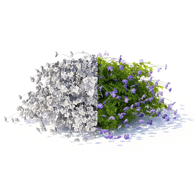 Rozanne Hybrid Geranium Bush: Vibrant and Versatile 3D model image 2