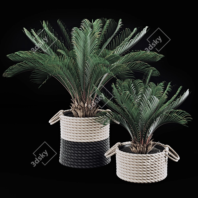 Tropical Palms in Baskets 3D model image 1