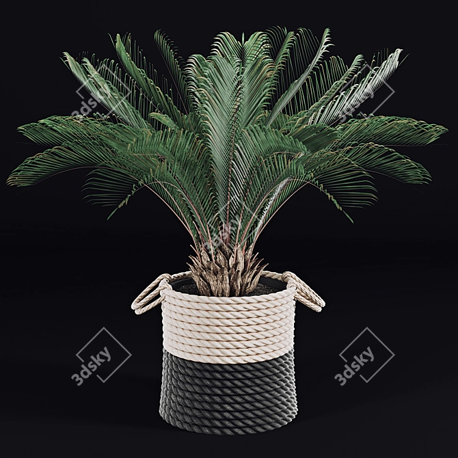 Tropical Palms in Baskets 3D model image 2