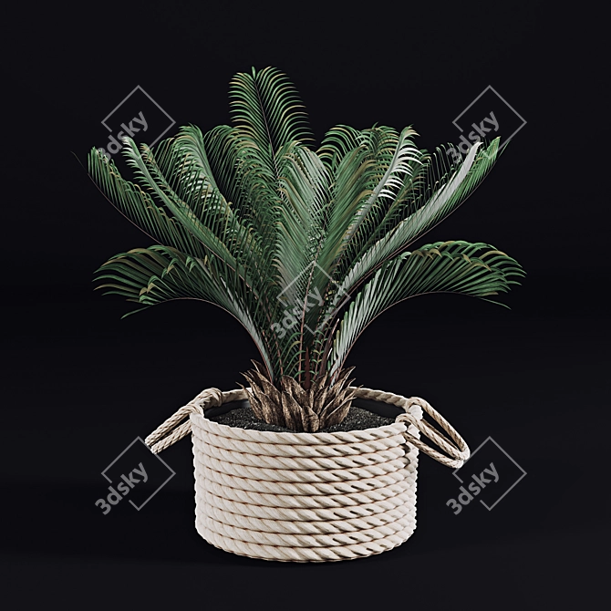 Tropical Palms in Baskets 3D model image 3