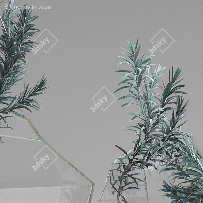 Curry Plant Branches in Vases 3D model image 2