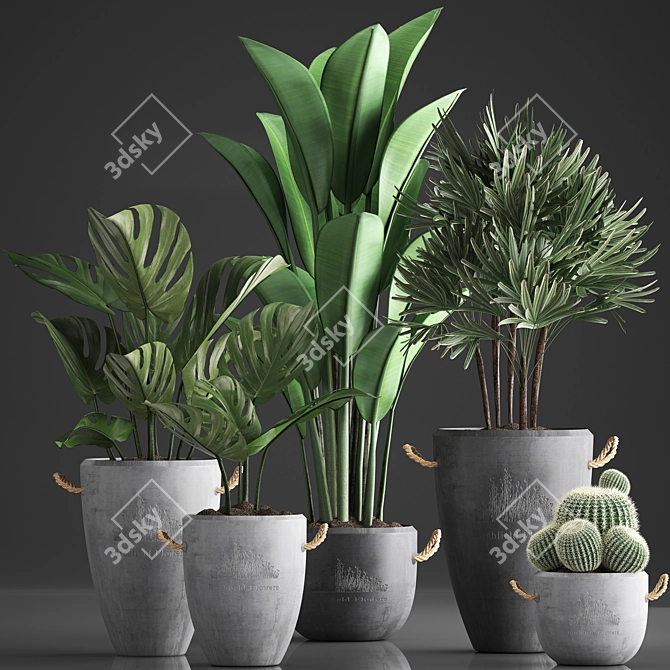 Exotic Houseplant Collection 3D model image 2