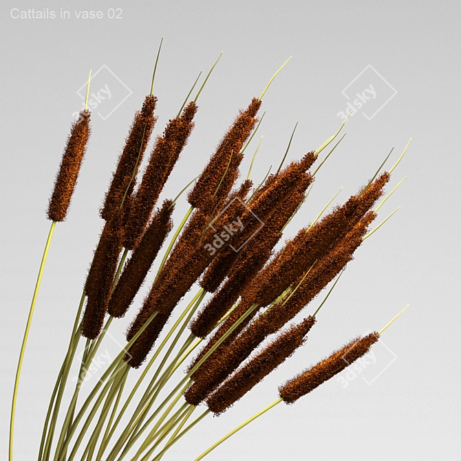 Natural Cattails in Glass Vase 3D model image 2